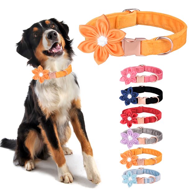 Ybeauty Hamster Travel Case with Food Bowl Running Wheel Multifunctional Portable Hamster Carrier Small Pet Crate Pet Supplies