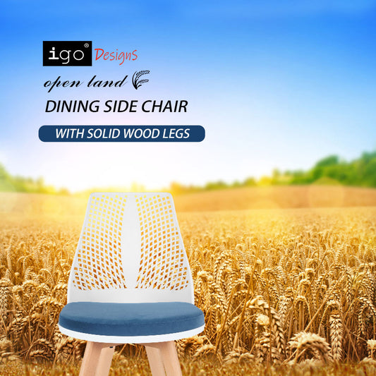 DINING SIDE CHAIR (2PCS)