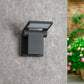 Outdoor Wall Light/ Path Light