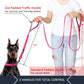 PET Double Handle Dog Leash 6ft Long, Padded Traffic Handle, Heavy Duty and Reflective, Training Leash for Medium Large Dogs, Pink