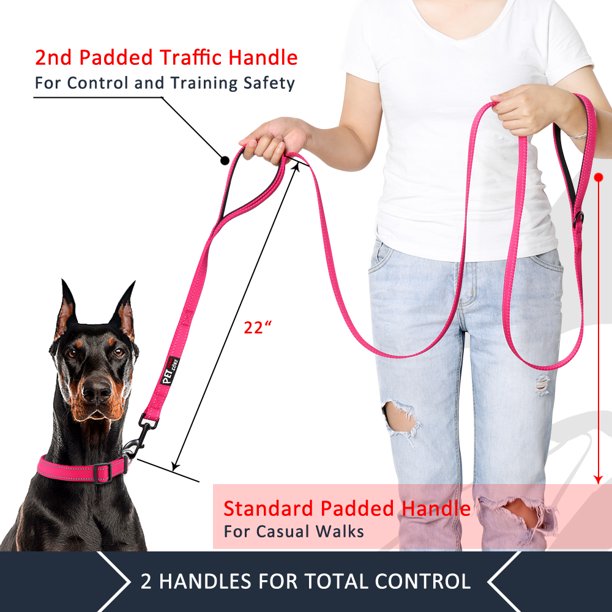 PET Double Handle Dog Leash 6ft Long, Padded Traffic Handle, Heavy Duty and Reflective, Training Leash for Medium Large Dogs, Pink